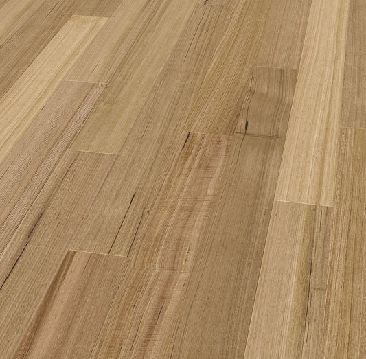 Tasmanian Oak