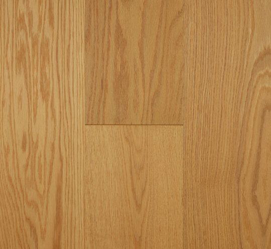 Forest Oak