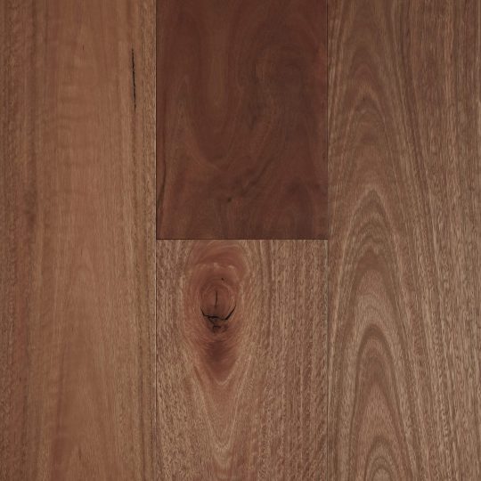 Fiddleback Australian Hardwood | Spotted Gum