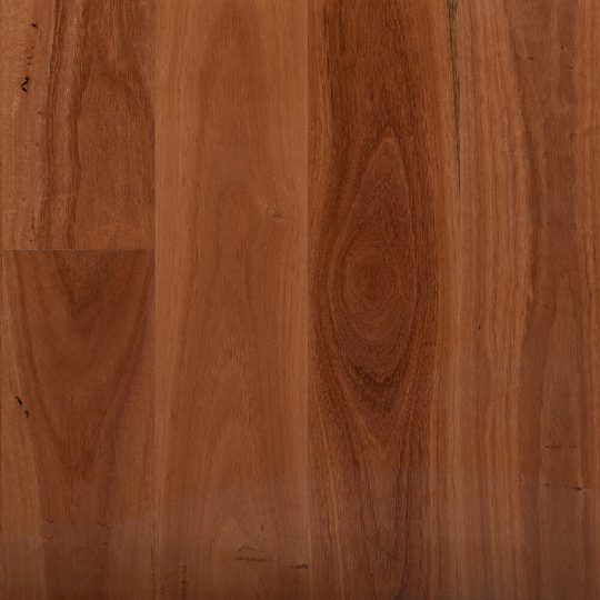 Select Australian Timber |MB Syd Blue Gum
