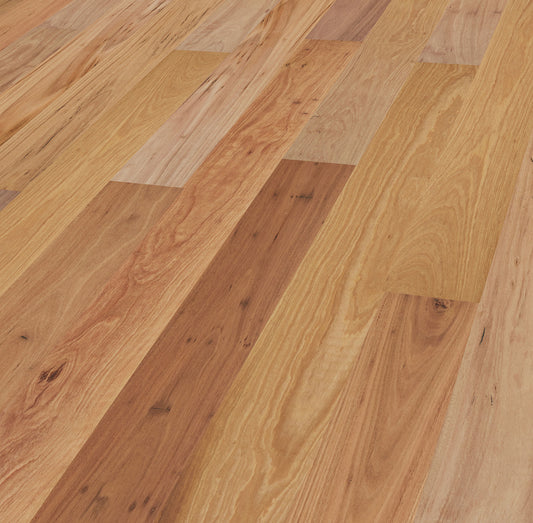 Blackbutt – Wide