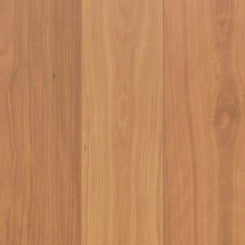 Brush Box   Oakleaf HD Plus