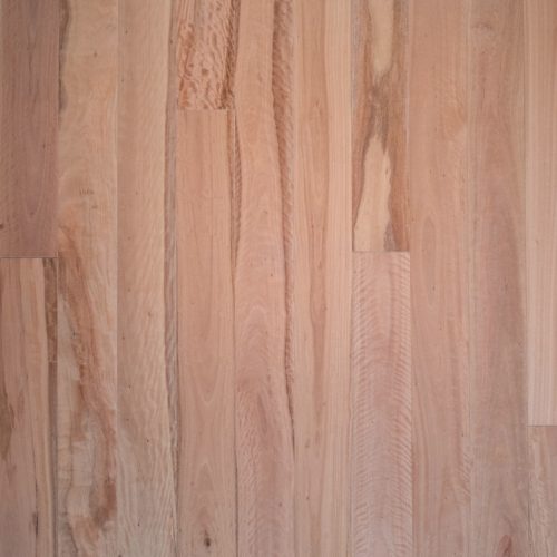 Pacific Blackbutt | Engineered Eucalyptus