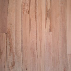 Pacific Blackbutt | Engineered Eucalyptus