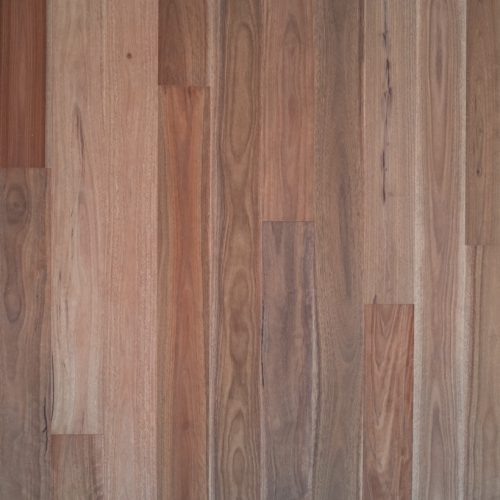 Pacific Spotted Gum | Engineered Eucalyptus