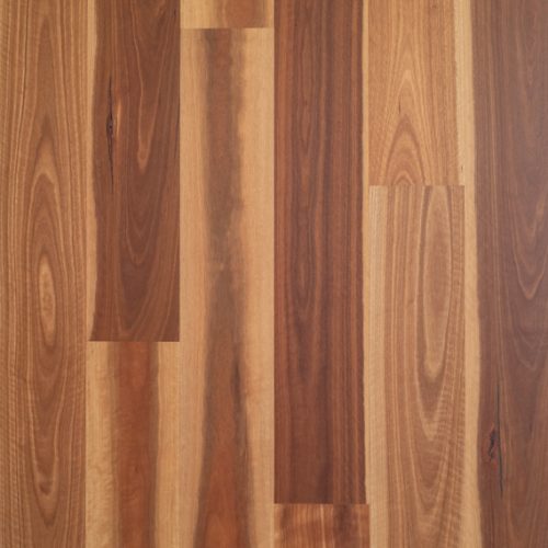 Spotted Gum| Brushed Finish | Engineered Eucalyptus