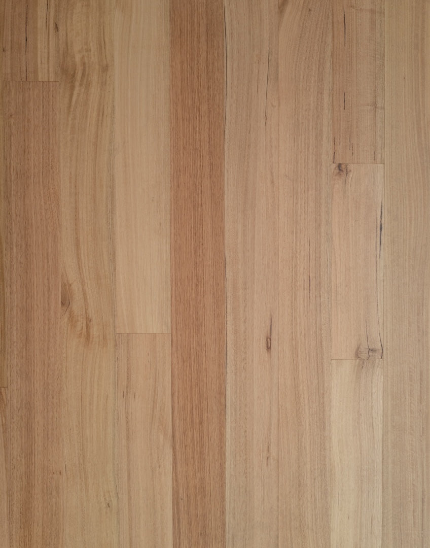 Victorian Ash/ Vicash | Engineered Flooring