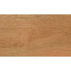 Grey Ironbark