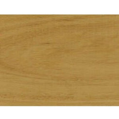 Blackbutt