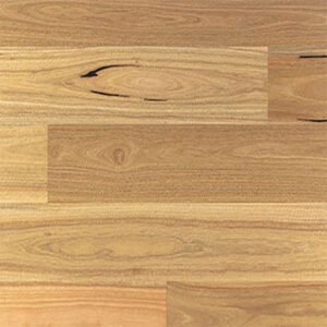 Spotted Gum 136
