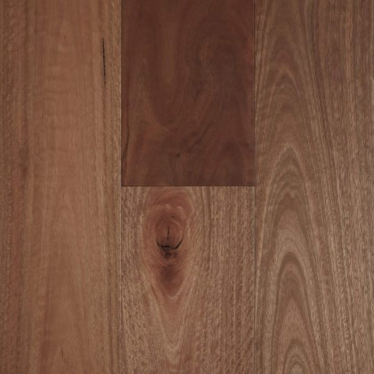 Fiddleback Australian Hardwood | Spotted Gum