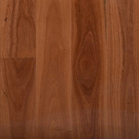 Select Australian Timber |MB Syd Blue Gum