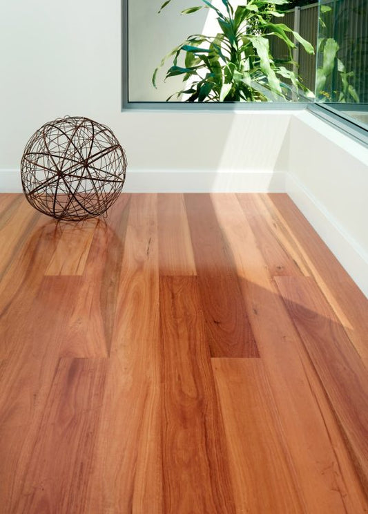 Select Australian Timber |MB Syd Blue Gum