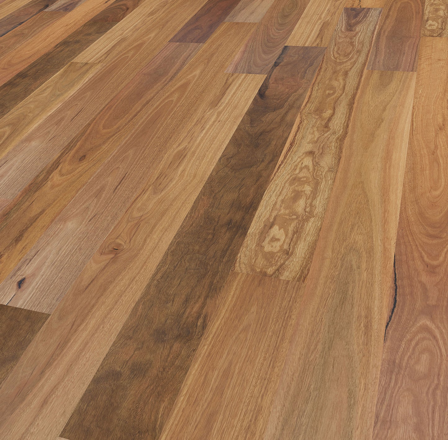 Spotted Gum – Wide