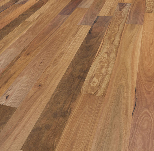 Spotted Gum – Wide