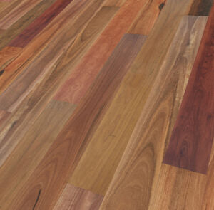 Spotted Gum Rustic
