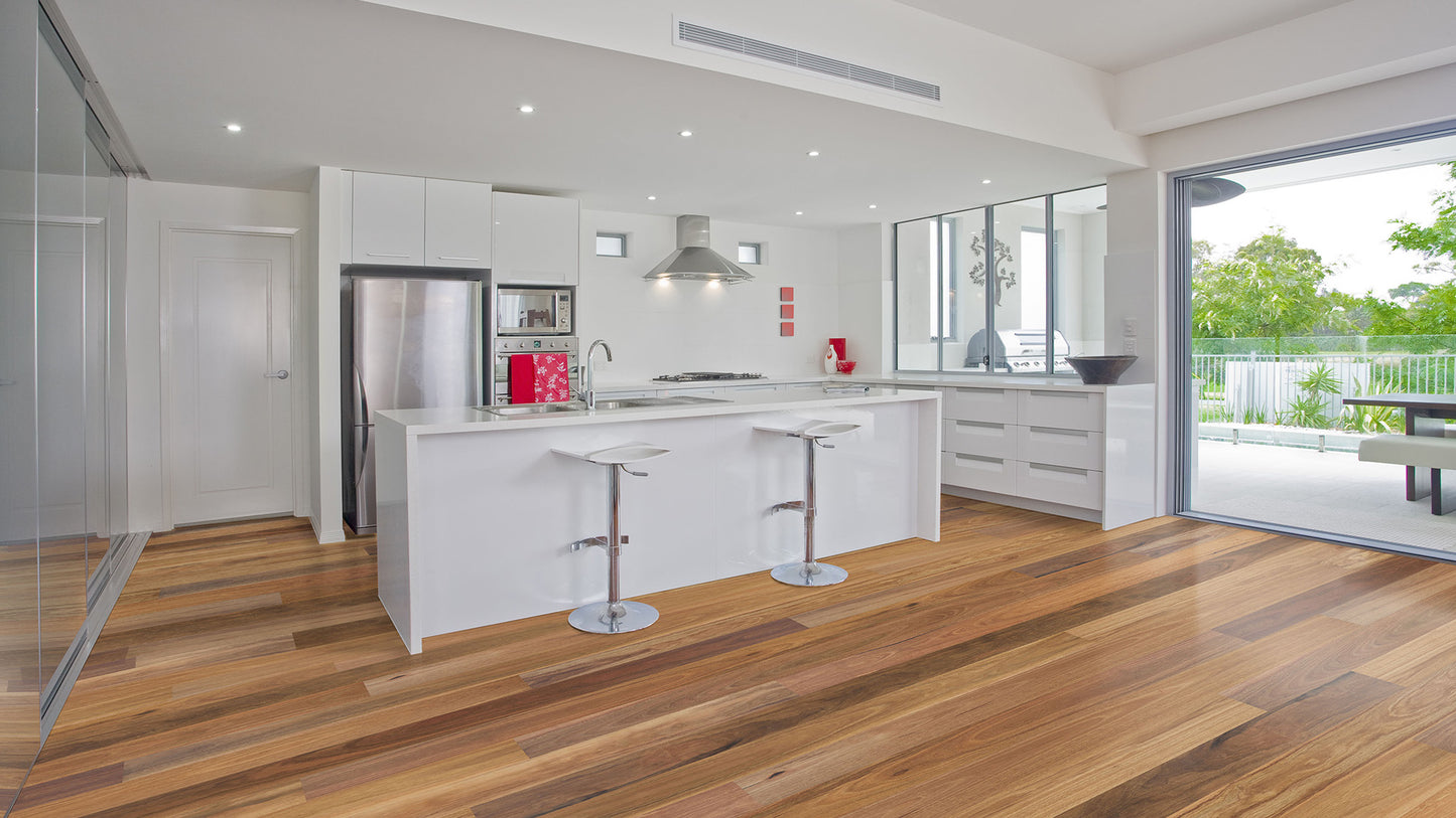 Spotted Gum – Wide